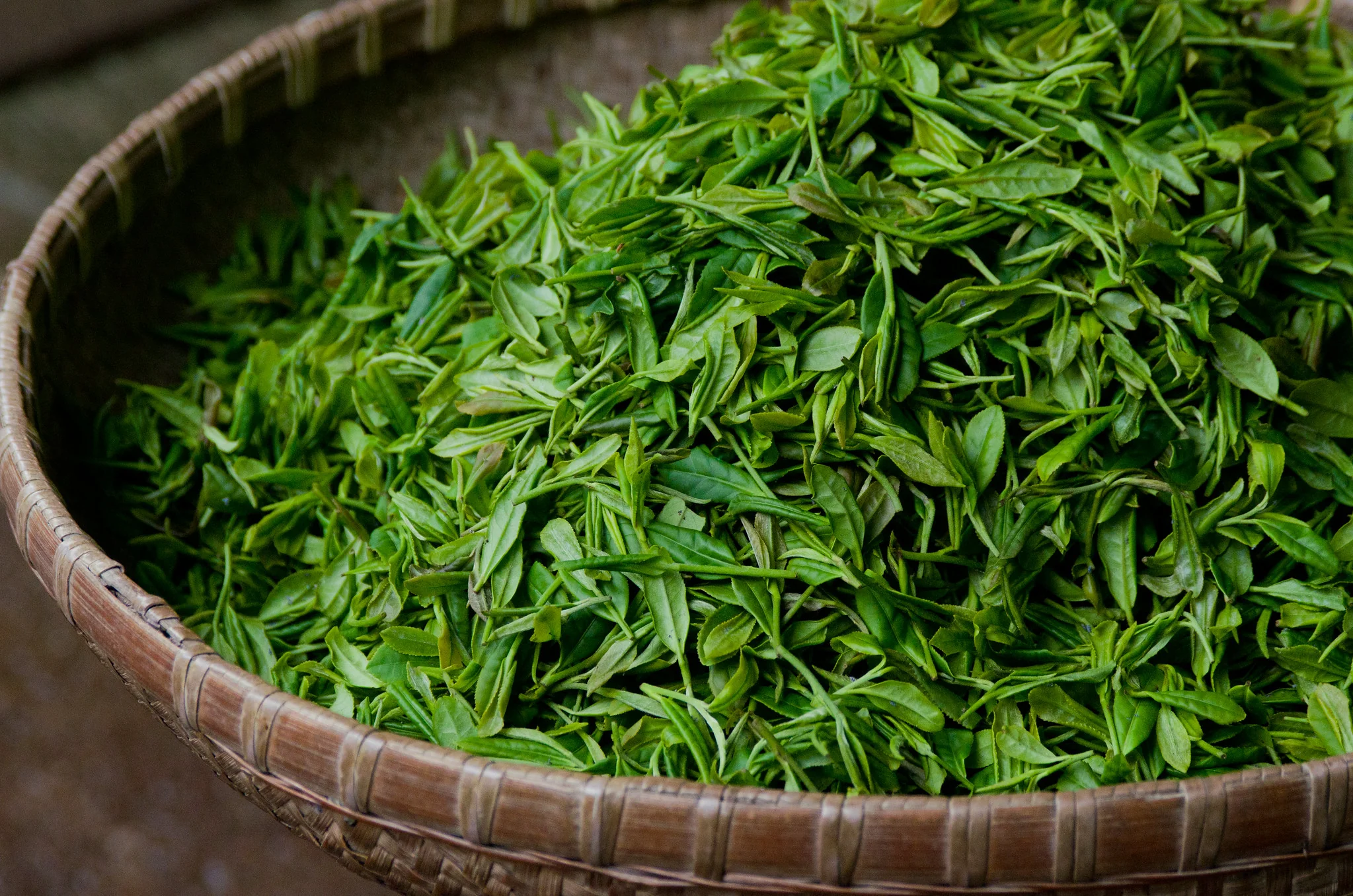 Premium Green Tea Leaves